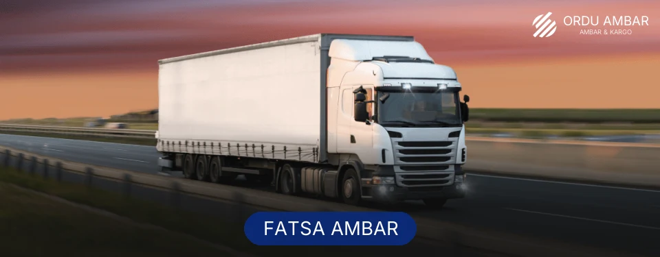 Fatsa Ambar