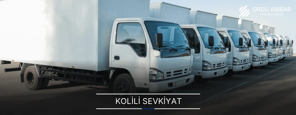 Ordu Kolili Sevkiyat Ambar Firmaları