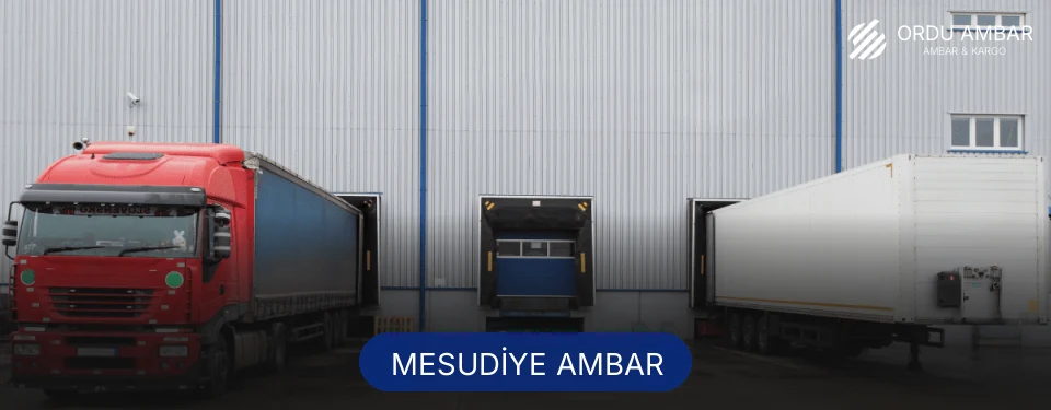 Mesudiye Ambar Kargo Mesudiye Ambar Kargo