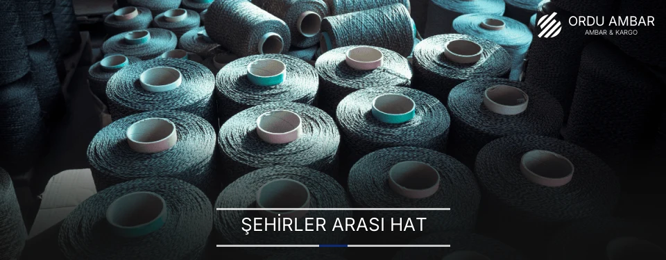 Ordu Şehirler Arası Hat Planlama Ordu Şehirler Arası Hat Planlama