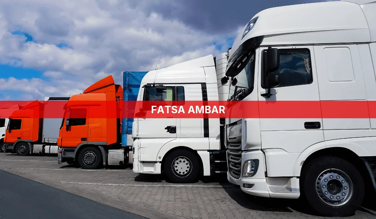 Fatsa Ambar